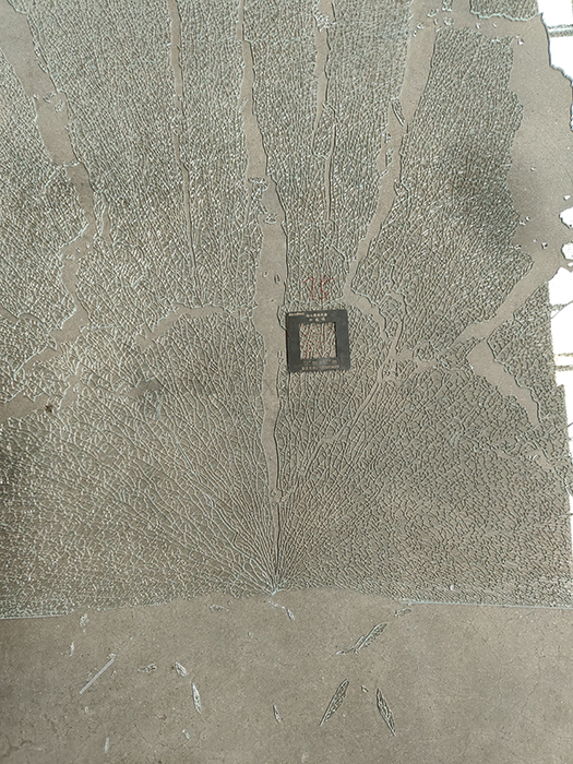 夜班钢化玻璃抽检75粒   3.2mm   75寸玻璃测试结果.jpg