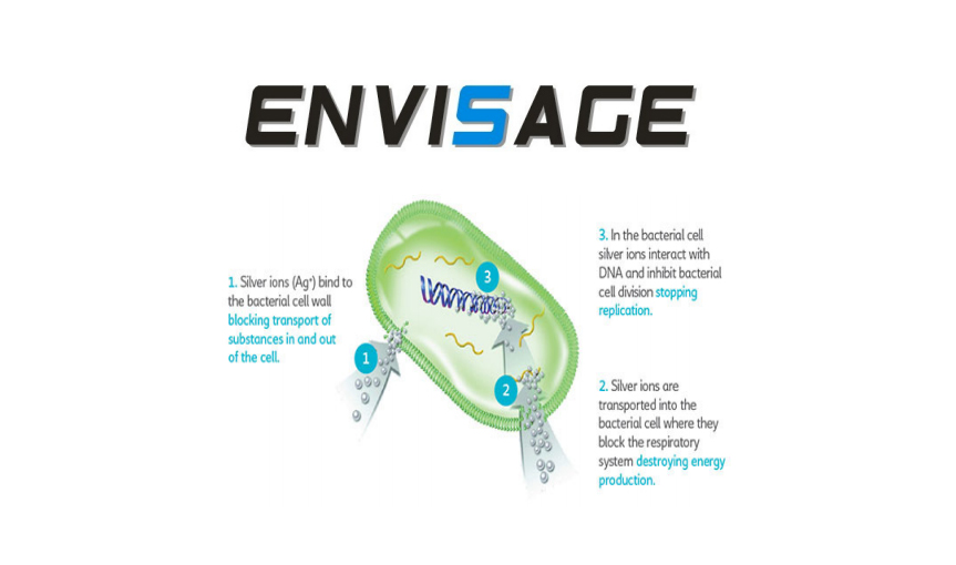 Antibacterial Principle